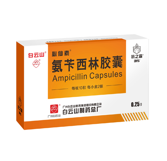 �������ֽ���